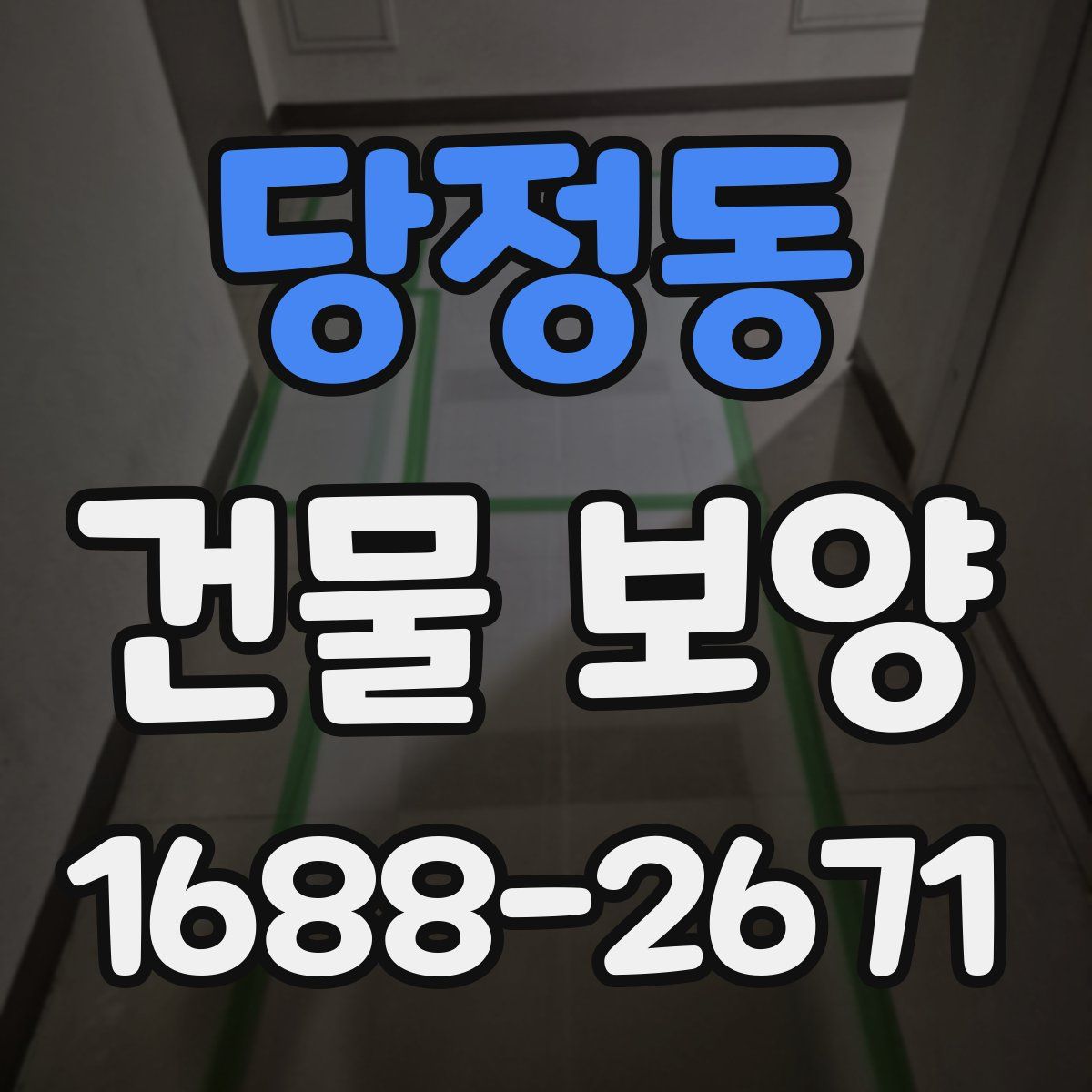당정동 건물 보양