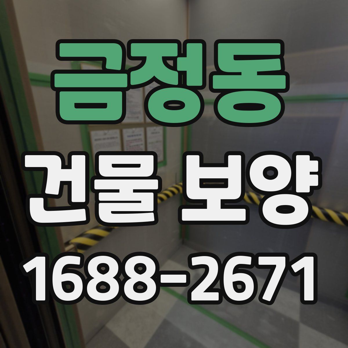 금정동 건물 보양