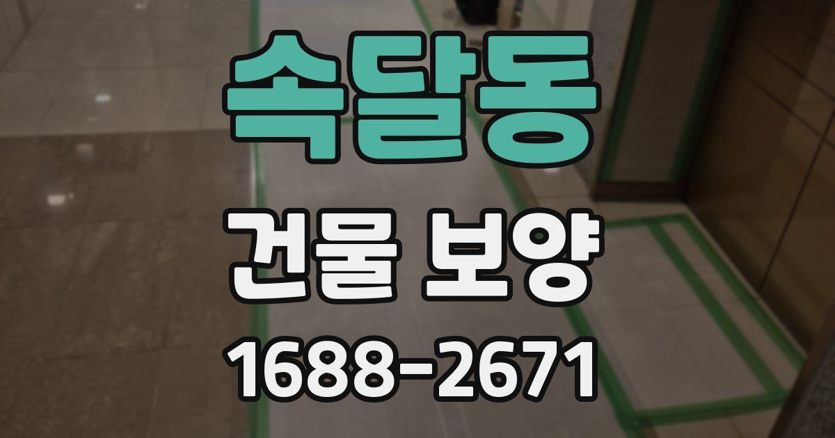 속달동 건물 보양