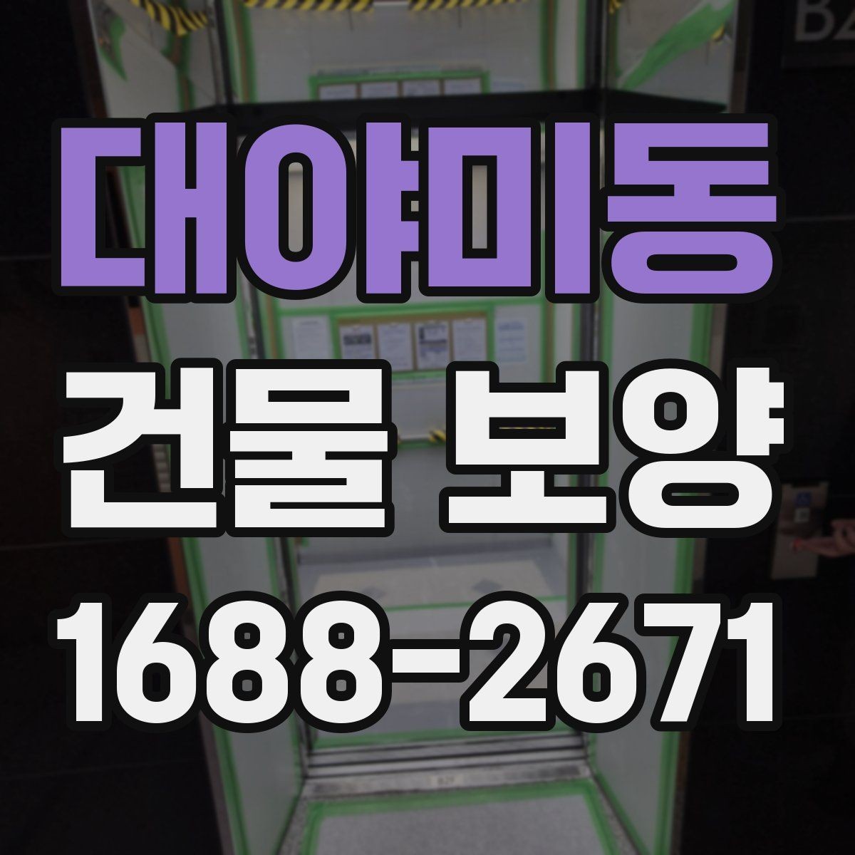 대야미동 건물 보양 손상 방지에 유리한 시공 순서