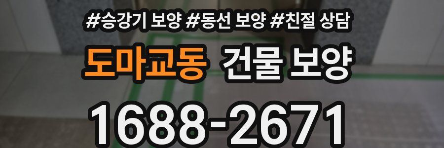 도마교동 건물 보양