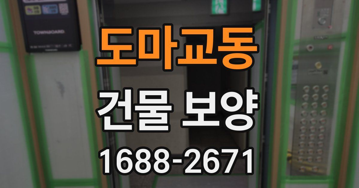 도마교동 건물 보양