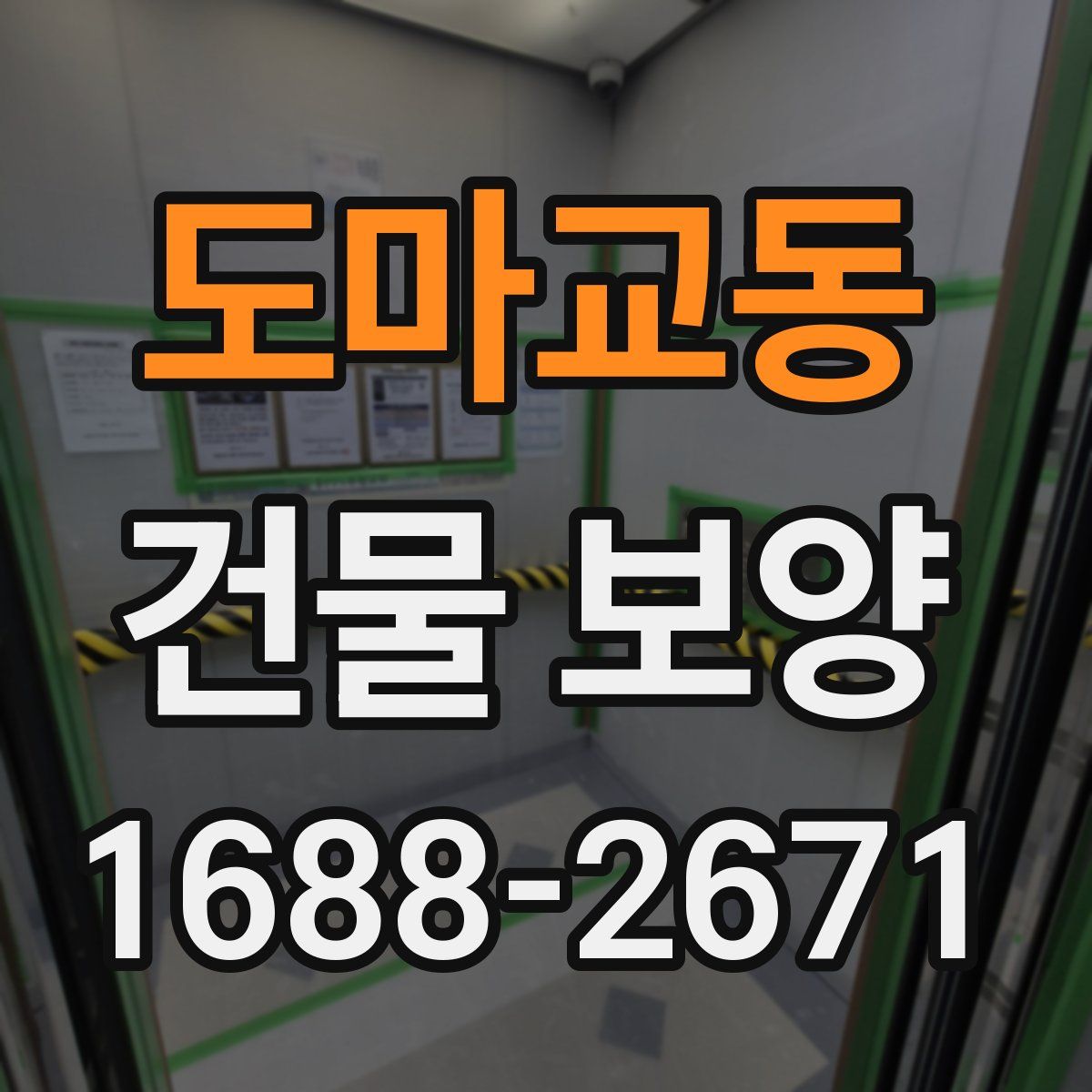 도마교동 건물 보양