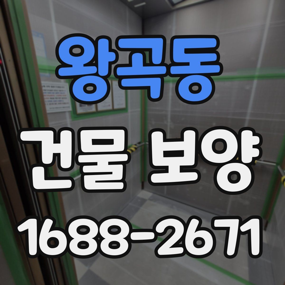 왕곡동 건물 보양 현장에서 놓치기 쉬운 부분