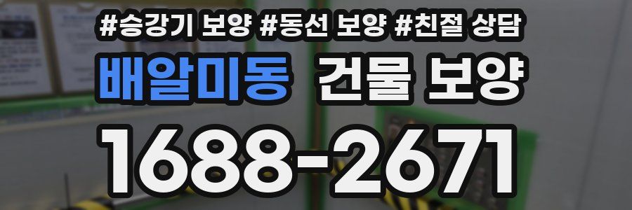 배알미동 건물 보양