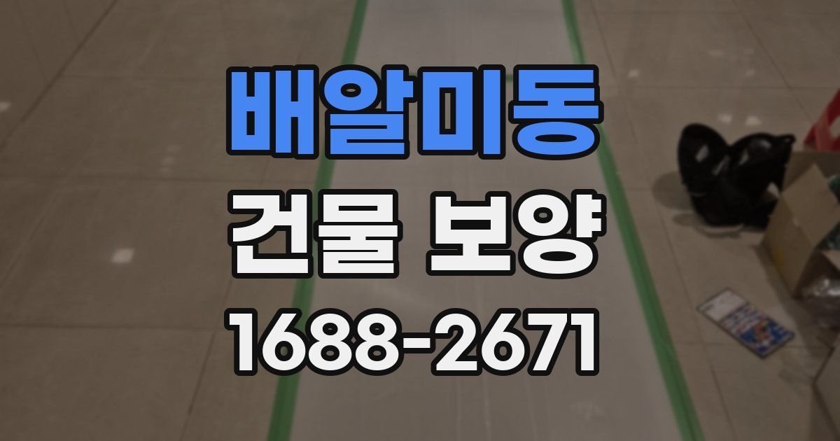 배알미동 건물 보양