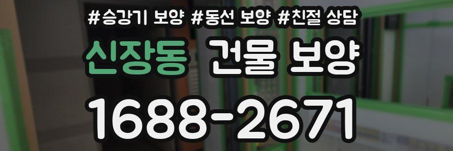 신장동 건물 보양