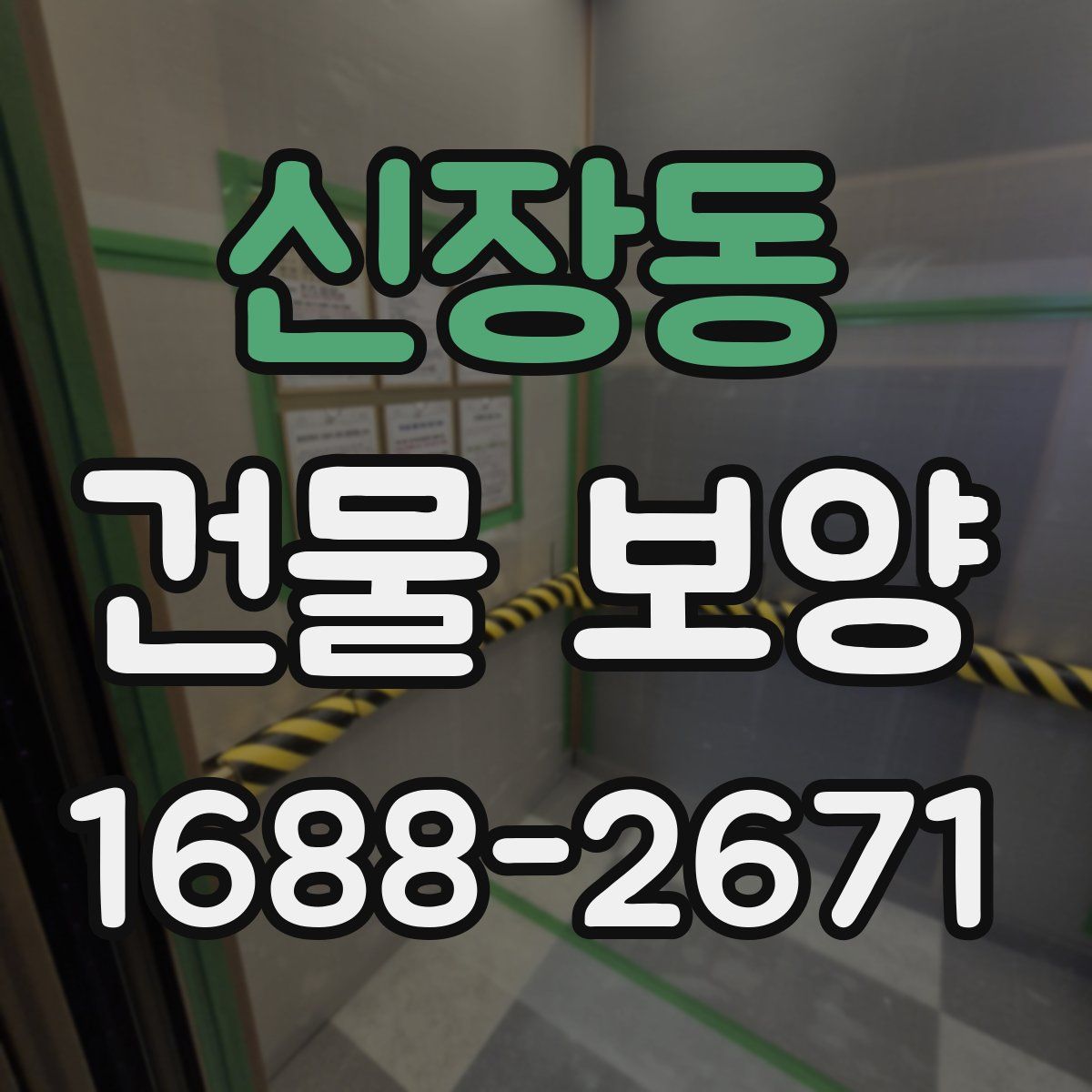 신장동 건물 보양