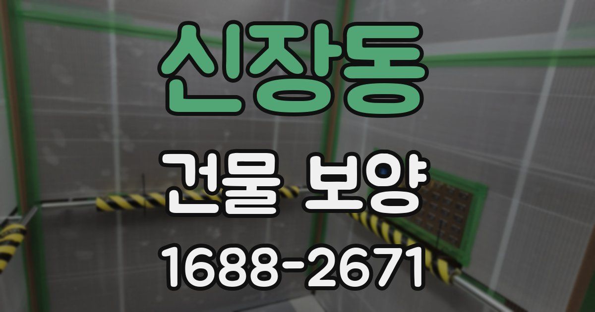 신장동 건물 보양