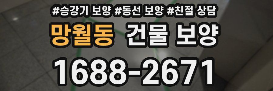 망월동 건물 보양