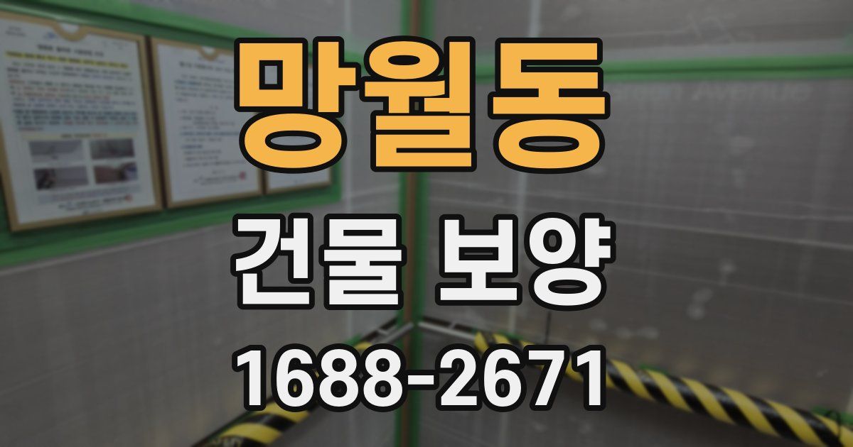 망월동 건물 보양