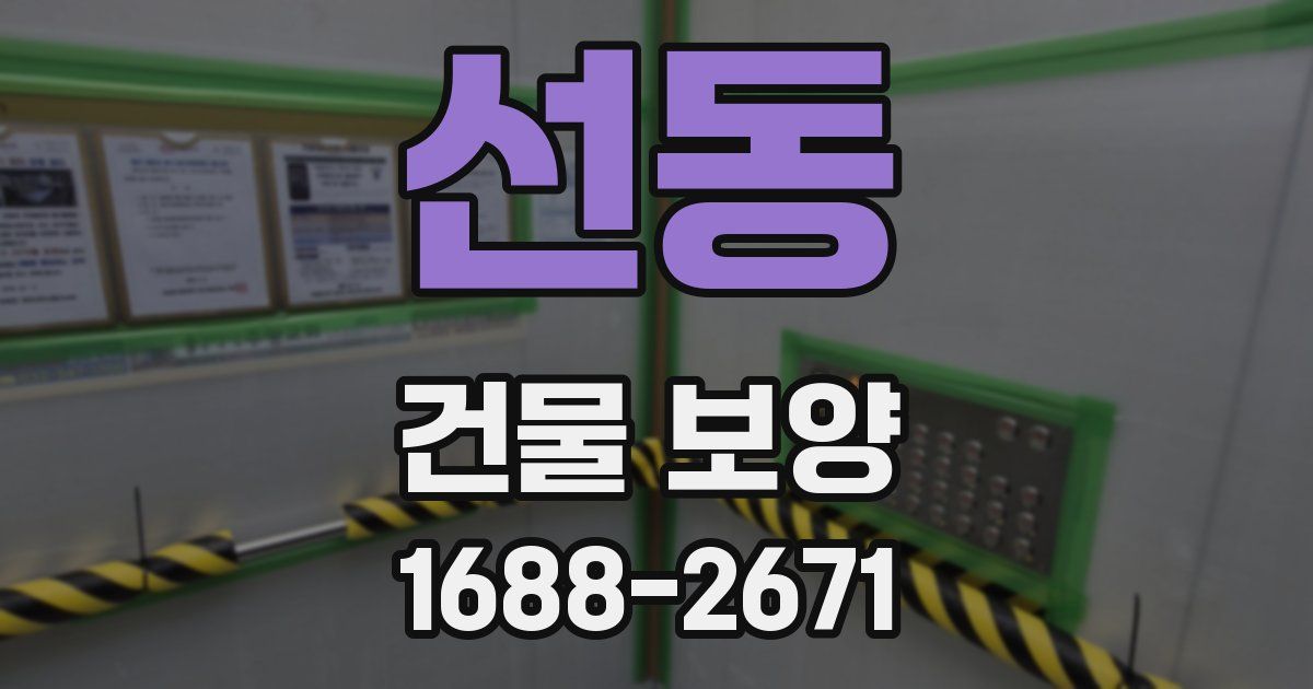 선동 건물 보양