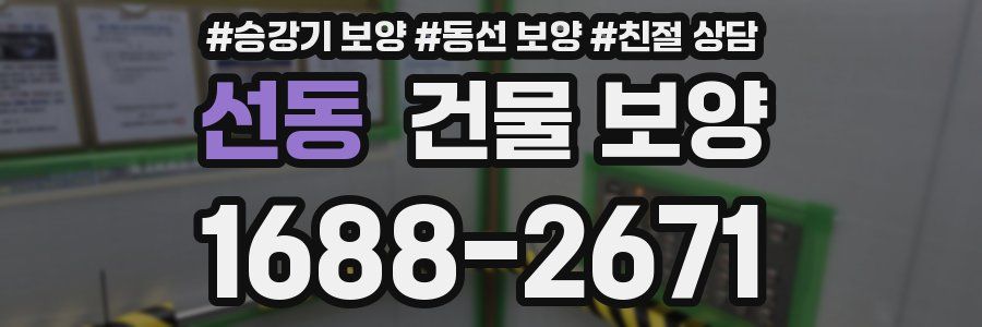 선동 건물 보양