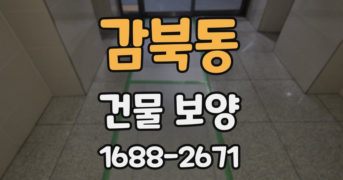 감북동 건물 보양