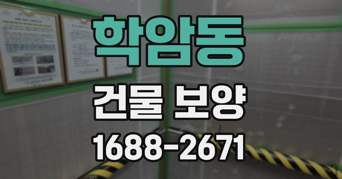 학암동 건물 보양