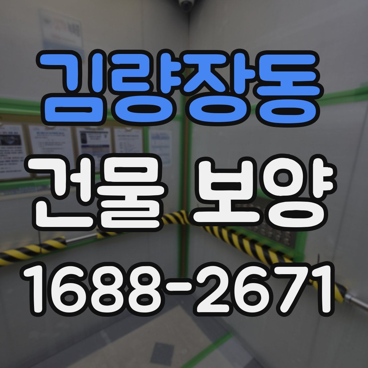 김량장동 건물 보양
