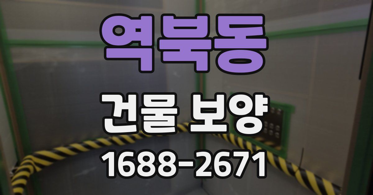 역북동 건물 보양