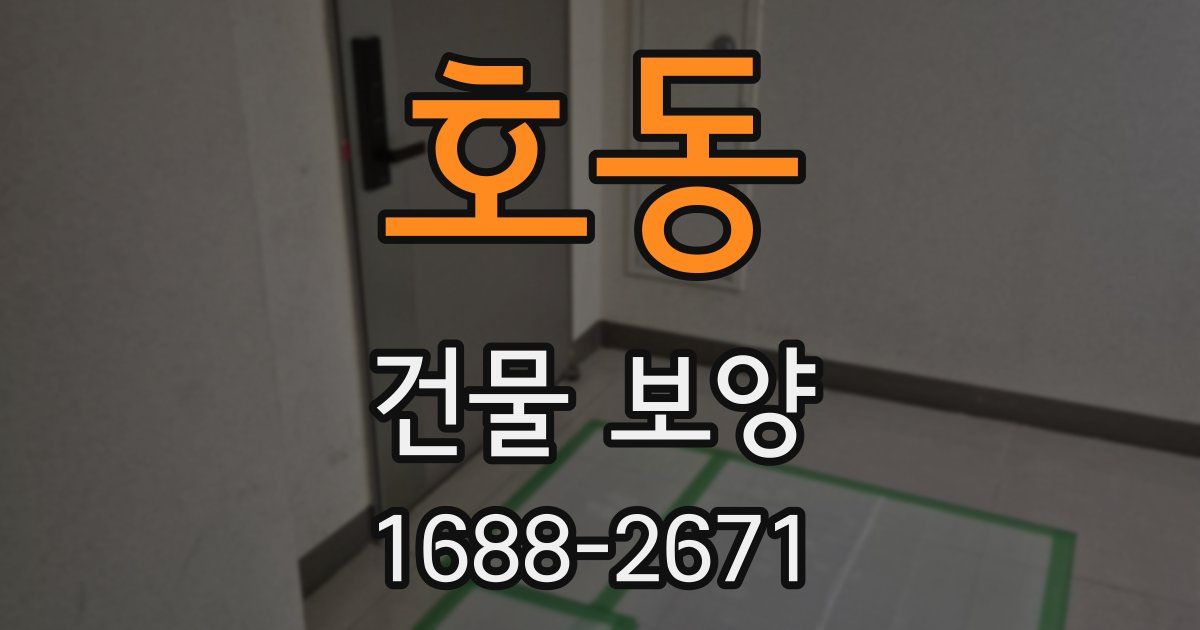 호동 건물 보양
