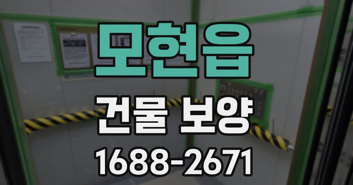 모현읍 건물 보양