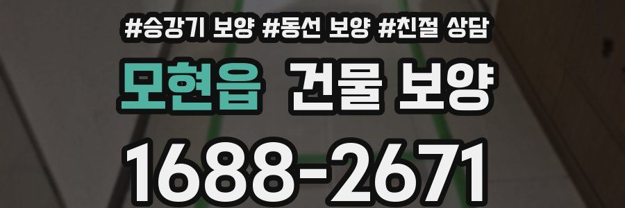 모현읍 건물 보양