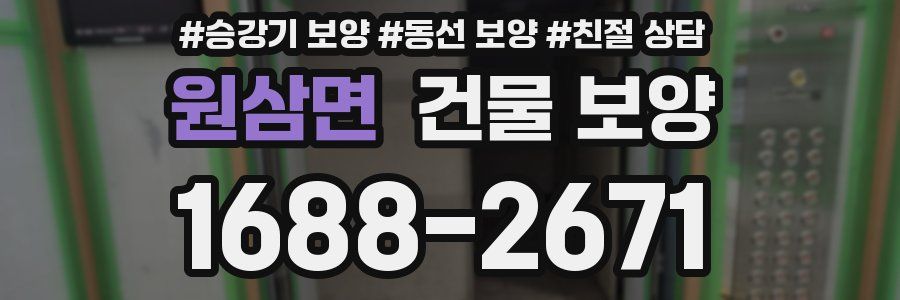 원삼면 건물 보양