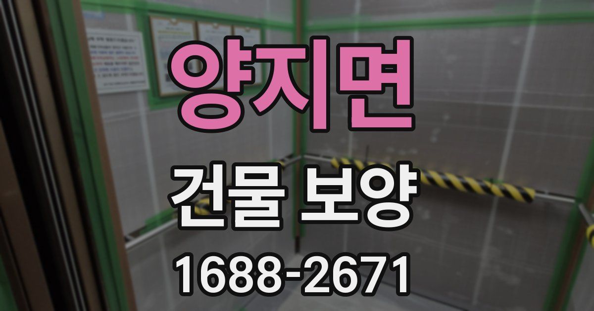 양지면 건물 보양