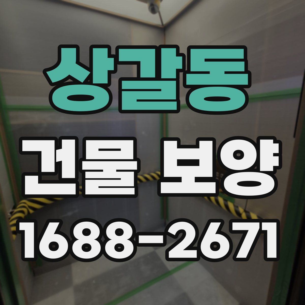 상갈동 건물 보양
