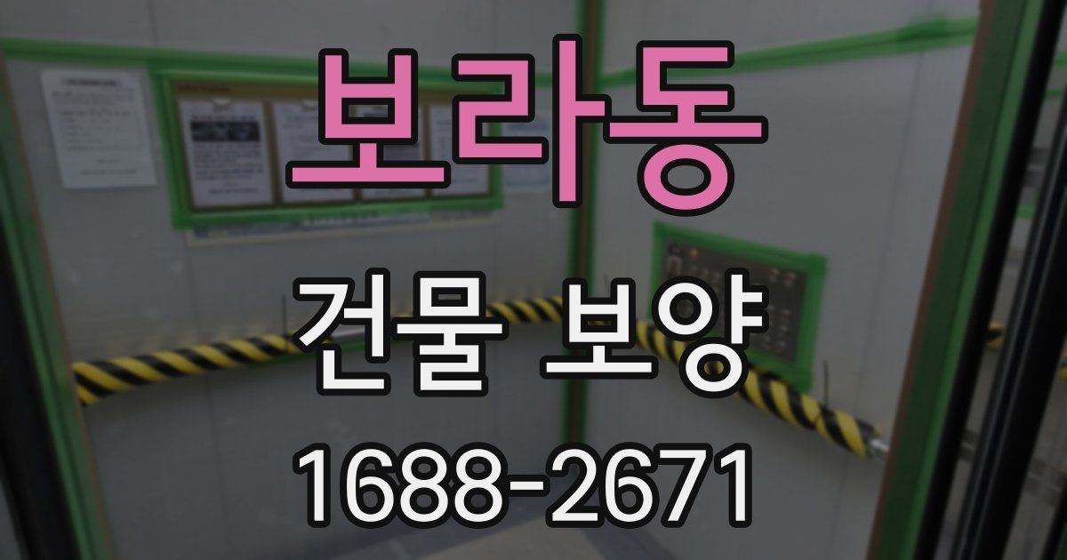 보라동 건물 보양