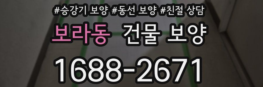 보라동 건물 보양