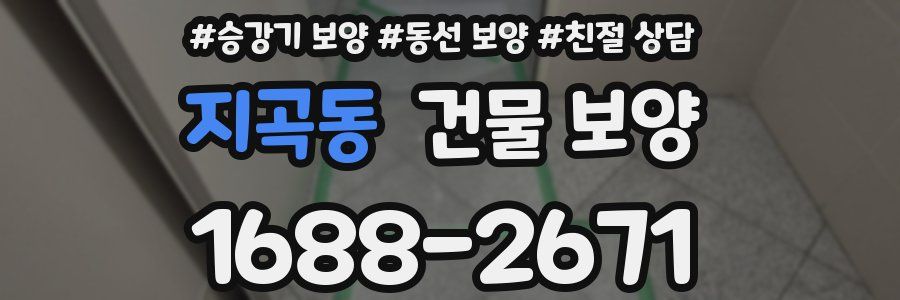 지곡동 건물 보양
