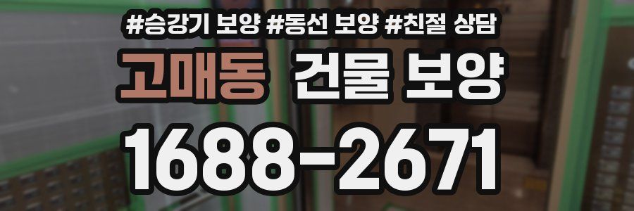 고매동 건물 보양