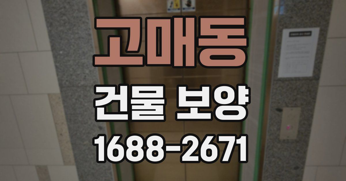 고매동 건물 보양