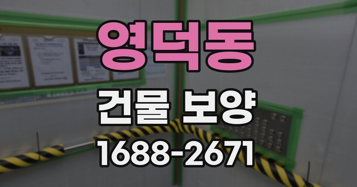 영덕동 건물 보양