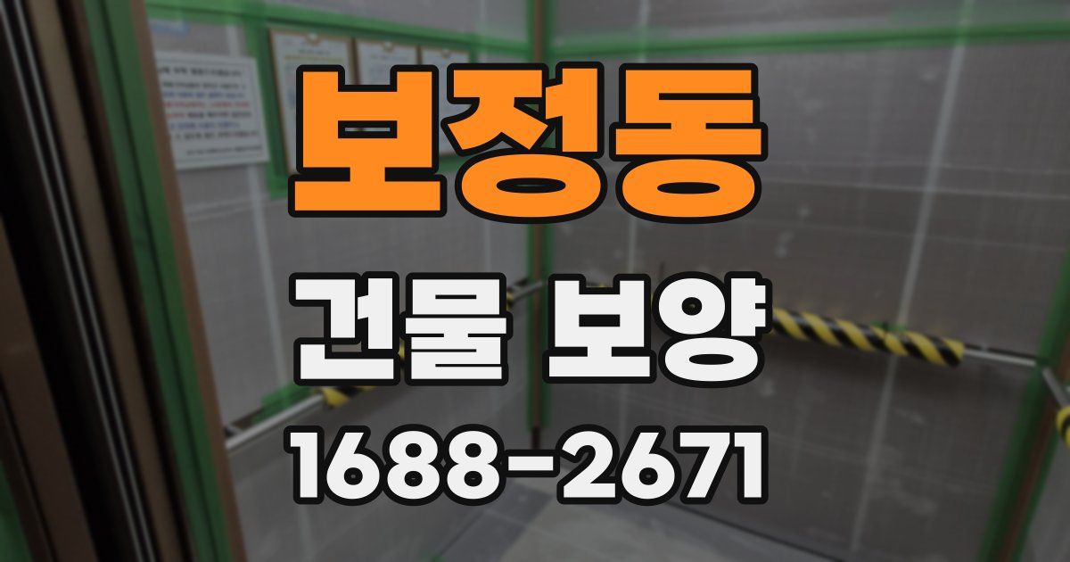 보정동 건물 보양