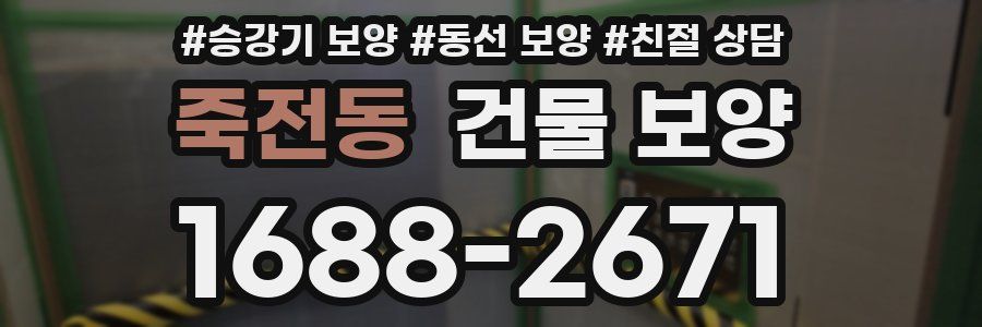 죽전동 건물 보양