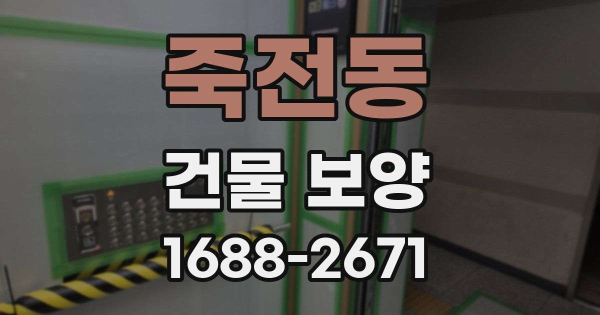 죽전동 건물 보양