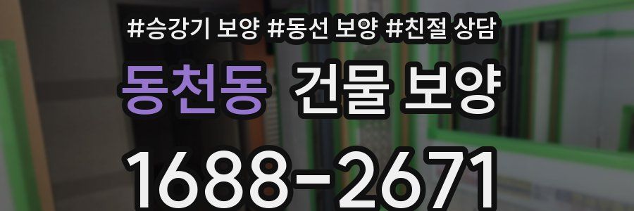동천동 건물 보양