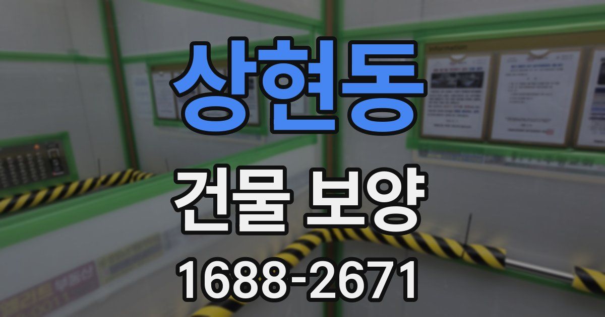 상현동 건물 보양