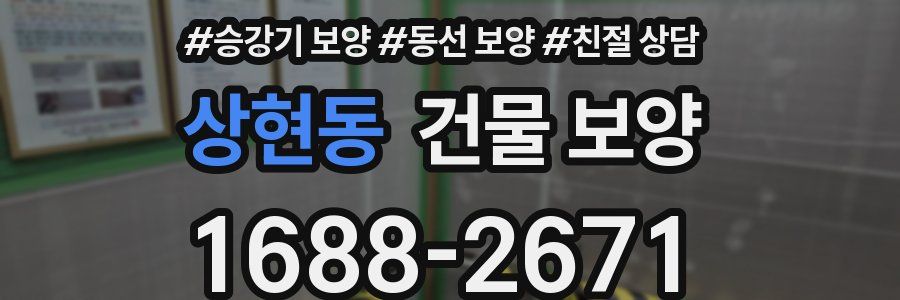 상현동 건물 보양