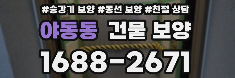 야동동 건물 보양