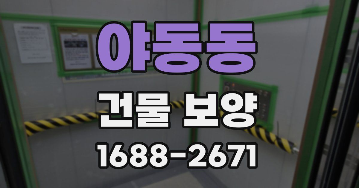 야동동 건물 보양
