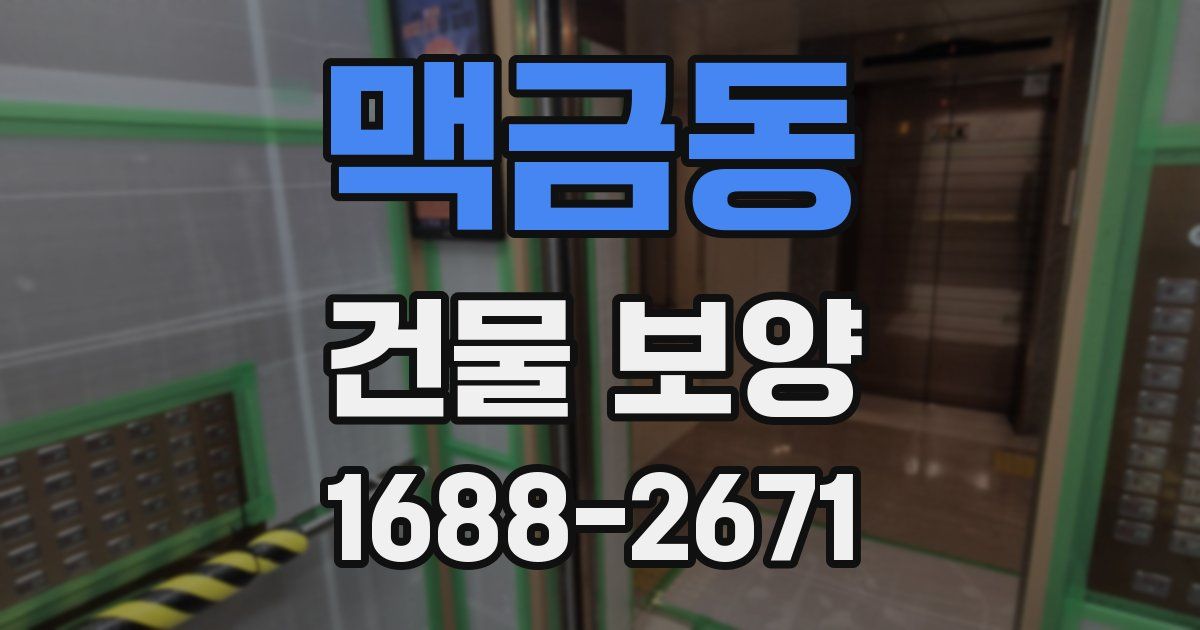 맥금동 건물 보양