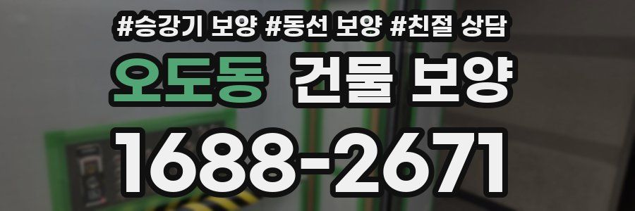오도동 건물 보양