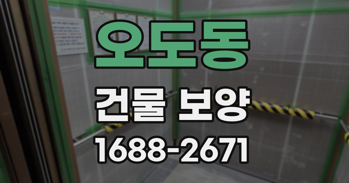 오도동 건물 보양