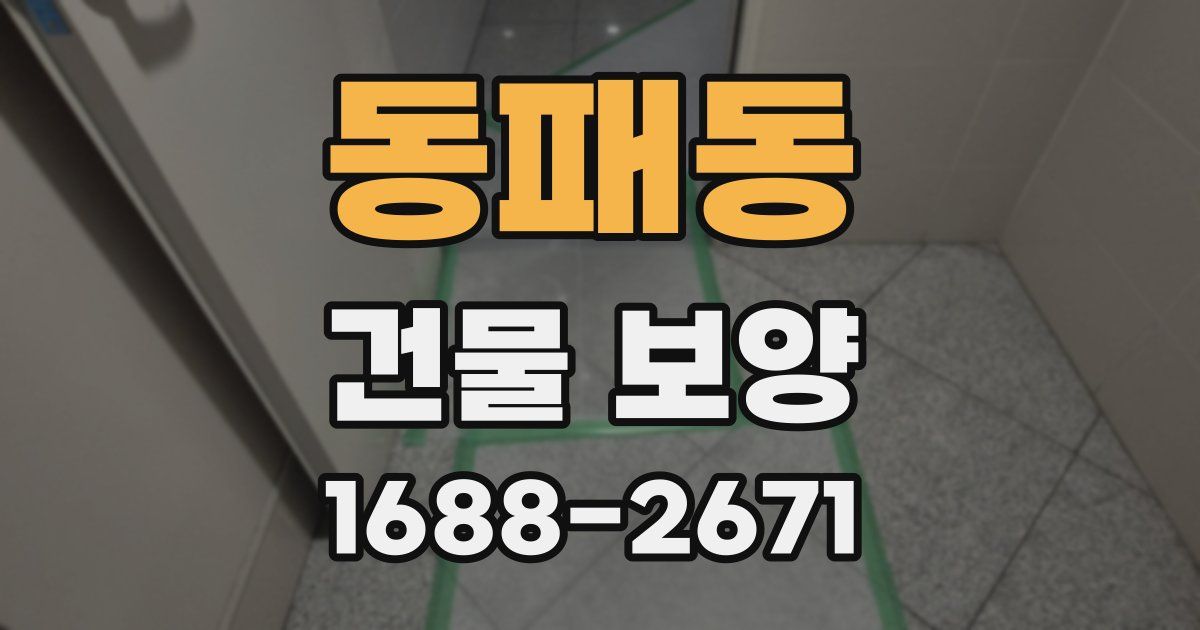 동패동 건물 보양