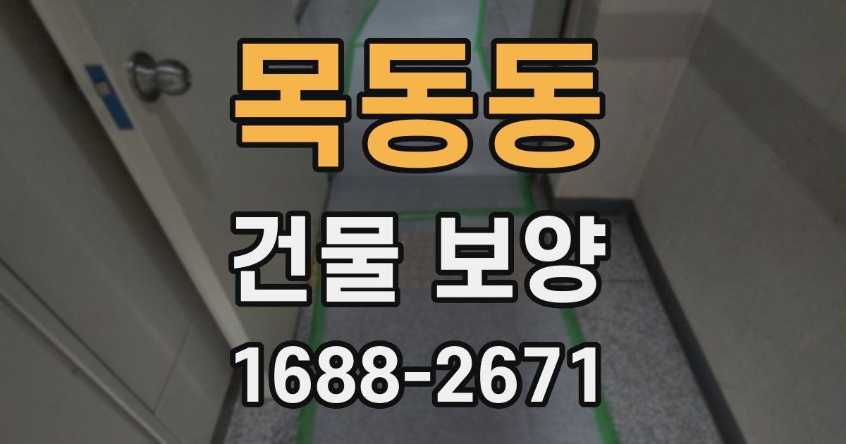 목동동 건물 보양