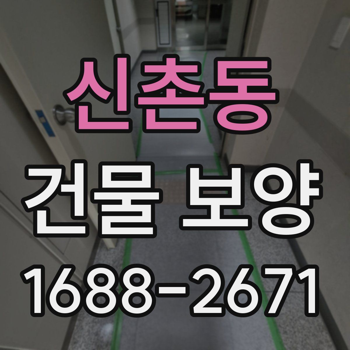 신촌동 건물 보양