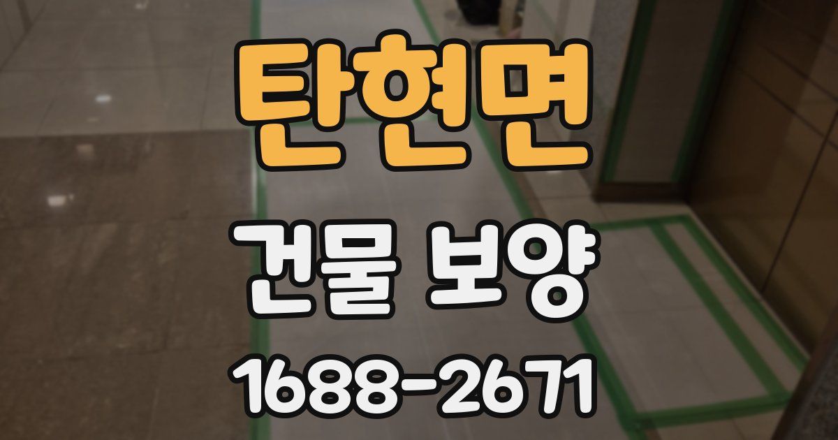 탄현면 건물 보양