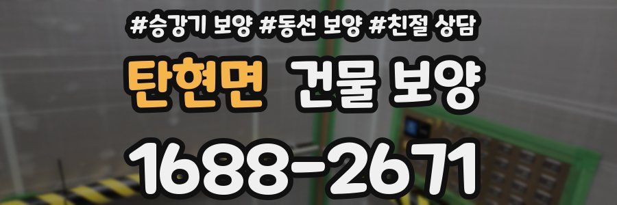 탄현면 건물 보양
