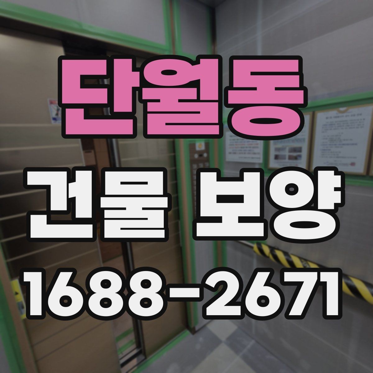 단월동 건물 보양 대상에 따라 달라지는 적용 방식
